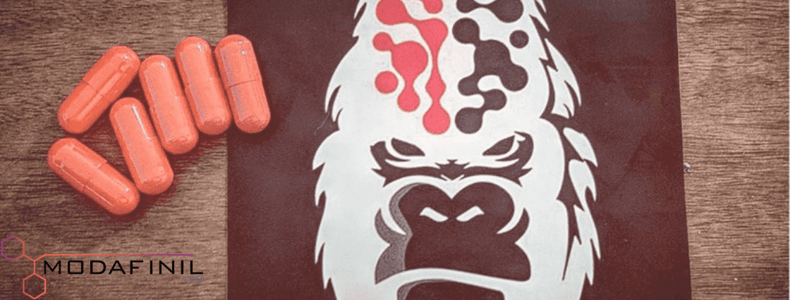 Gorilla Mind Rush Review: What happened to Gorilla Mind Rush?